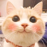 锦时