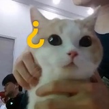 木木（已增肥