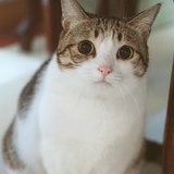 tumn-jun