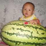 最爱礼拜五
