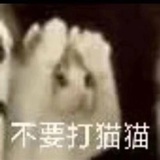 红豆沙馅大汤圆