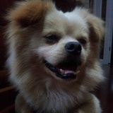 kelly娜娜