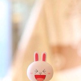 狮子脑壳
