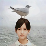 塑料珍珠