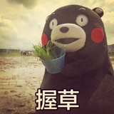 大力士上千