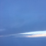 没有猫