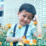 麦田大熊