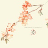 阿蒋-Diana