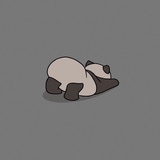 鱼小晴