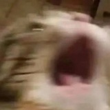 TT