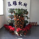 晨雕机械