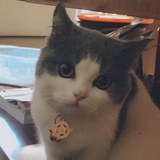 梦箩