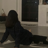 西陸
