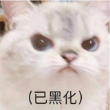 小羊小羊