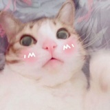 苏步青