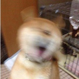 你不知道是我呀