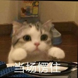 春光乍泄