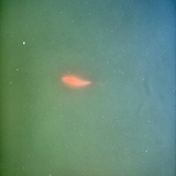柒林子