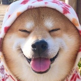 宇宙派诗人