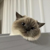 江湖骗子传说
