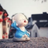 驾着蚂蚁去旅行