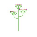 一碟青菜任平生