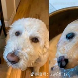 你随风飘扬的笑
