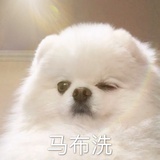 嘬口爱的冰美式
