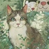 猴崽