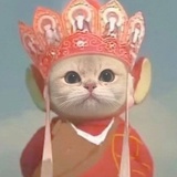 阿莲啊