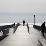 Human Behavior