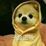 (ಡωಡ)hiahiahia