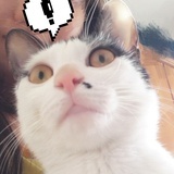 itosyouyutaro