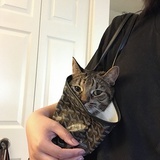 猫妮卡子
