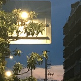 旿显