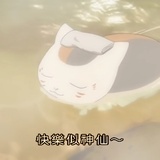 dadel饼干