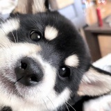 My