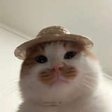 堆雪人