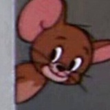 sisi
