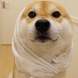 以沫儿