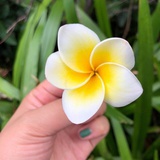 名字不用太迷人