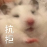HowlowKitty