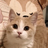 消