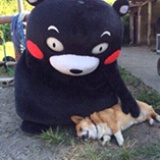 熊本