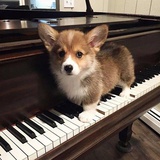 W.S