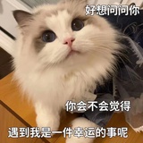 晚安鴨開心就好