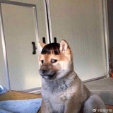 铁铁