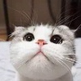 啊啊啊啊