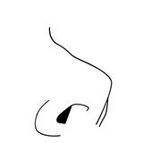 鼻