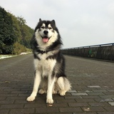 叫什么不重要